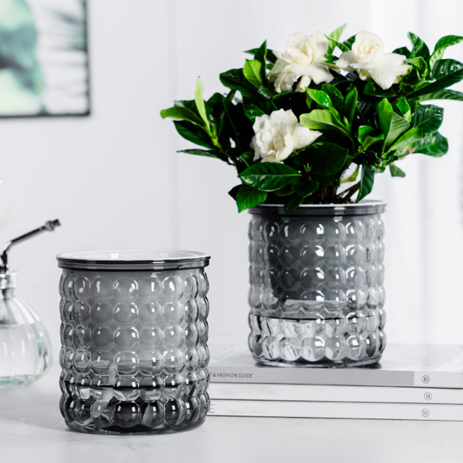 Self Watering Flowerpot Hydrop - Self Watering Insert 리뷰 및 가격