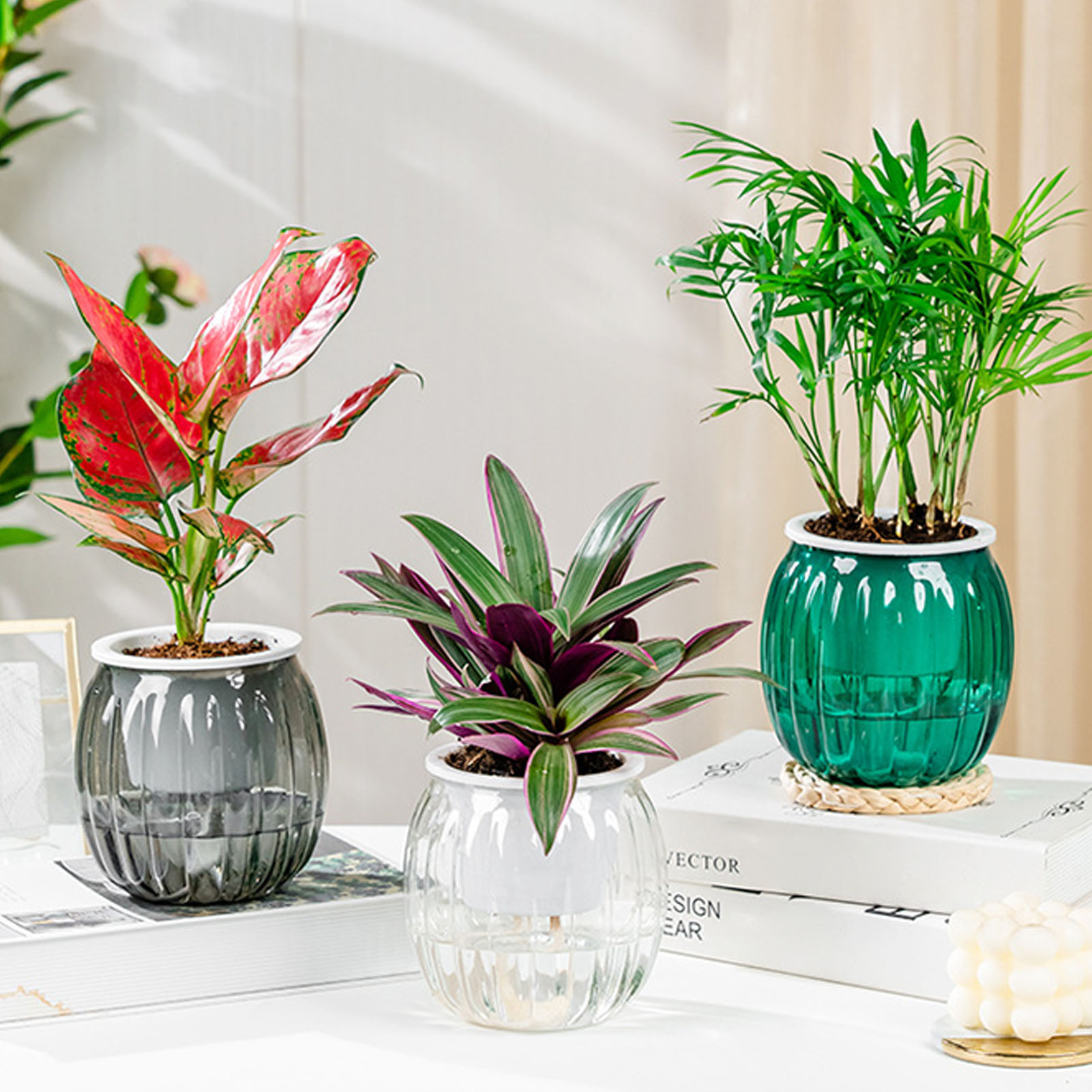 Self Watering Flowerpot Hydrop - Self Watering Insert 리뷰 및 가격