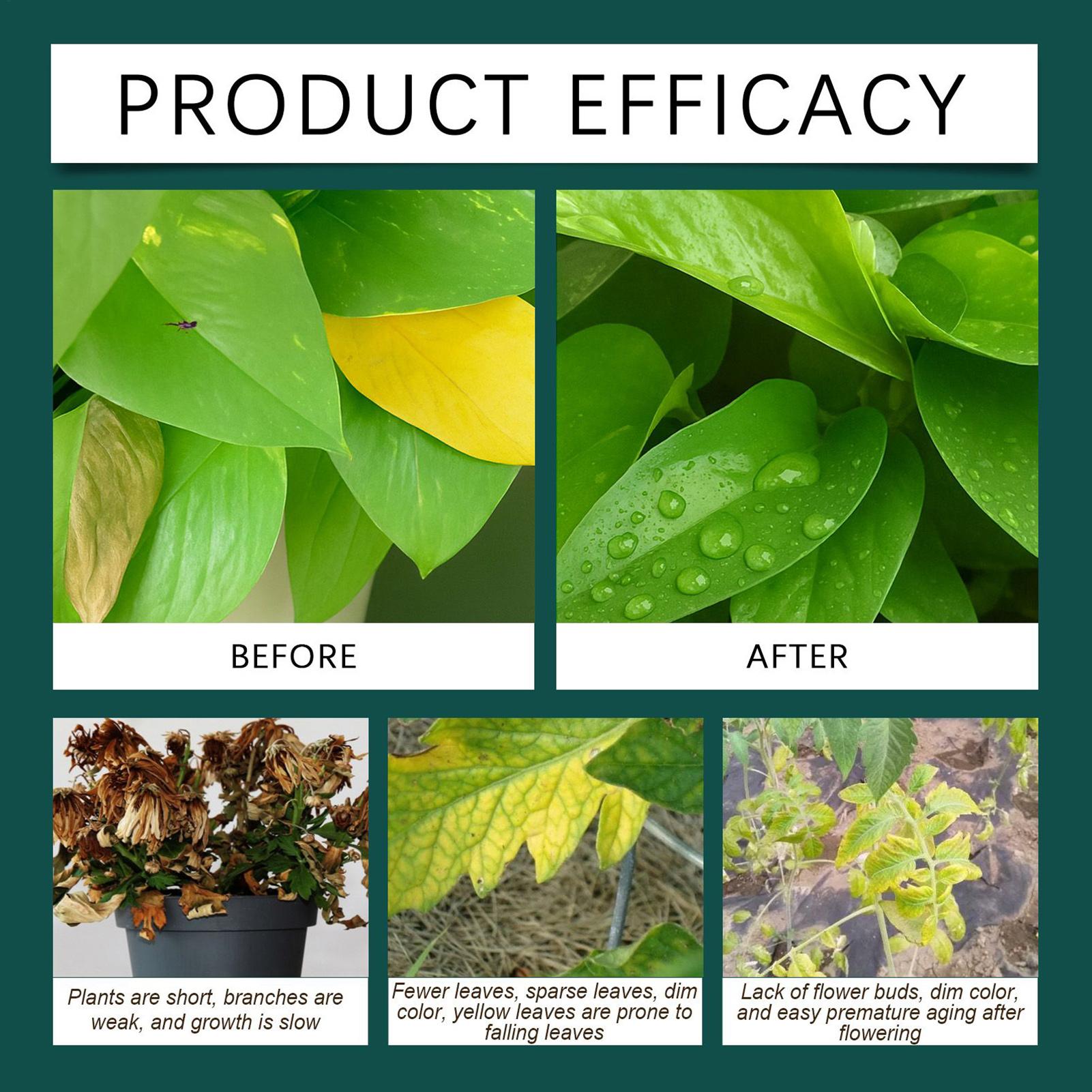 100ml Plant Rooting Liquid Dro - Root Stimulator Liquid 리뷰 및 가격