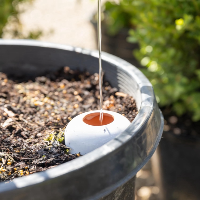 Plant Watering Ball, Terracott - Self Watering Insert 리뷰 및 가격